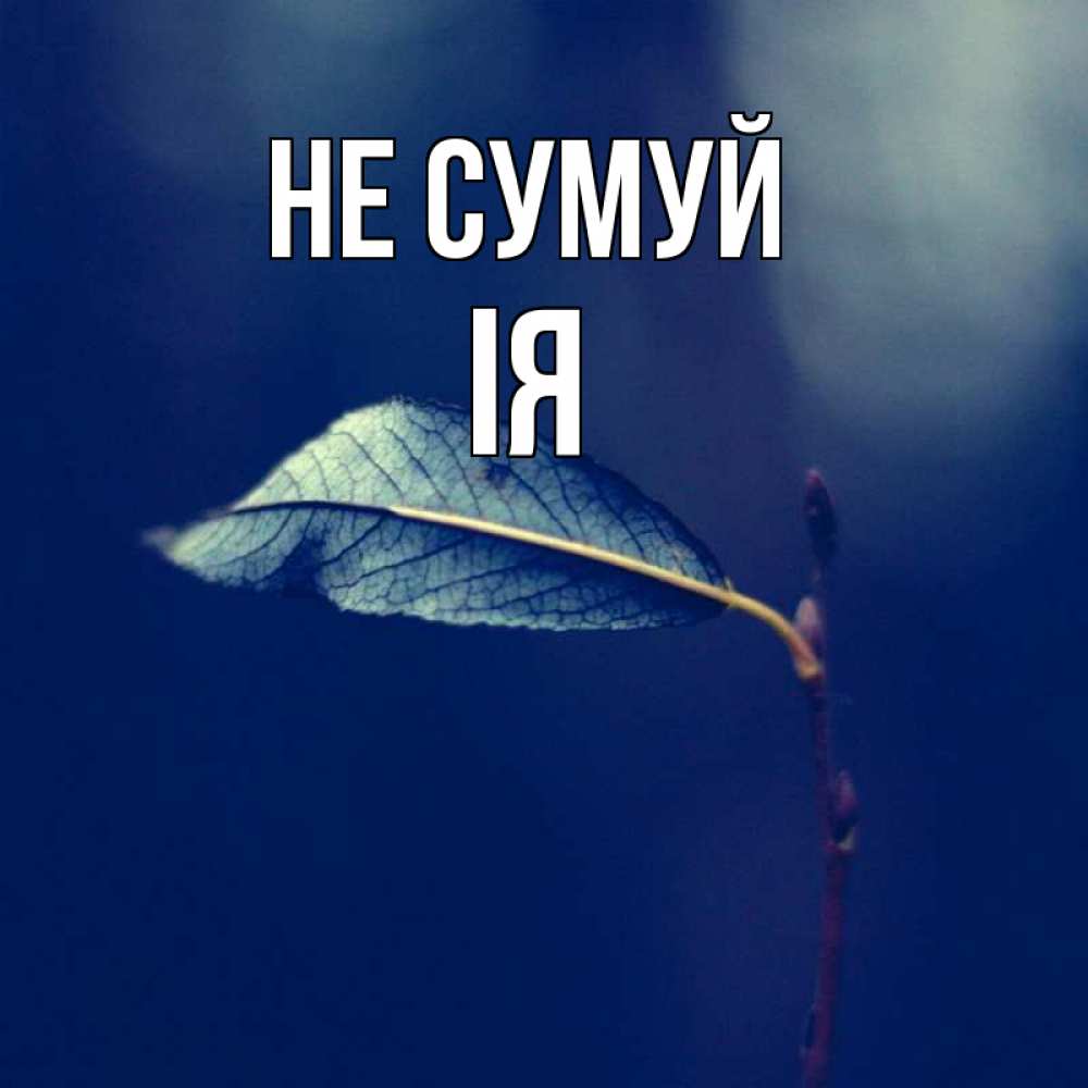 Открытка на каждый день з підписом, Ія Не сумуй растение Прикольна листівка з побажанням онлайн скачати безкоштовно 