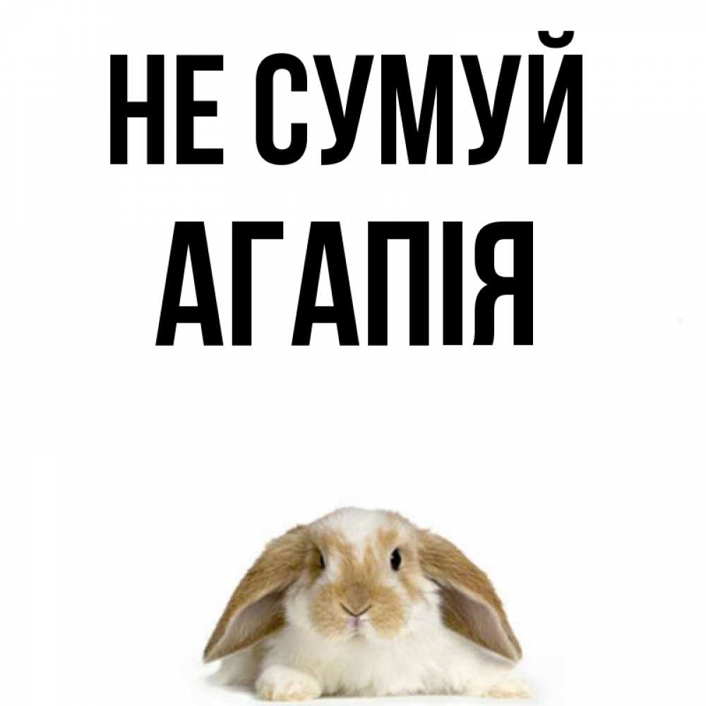 Открытка на каждый день з підписом, Агапія Не сумуй коричнево белый заяц с большими ушками Прикольна листівка з побажанням онлайн скачати безкоштовно 