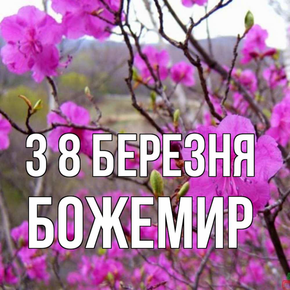 Открытка на каждый день з підписом, Божемир З 8 БЕРЕЗНЯ международный женский день Прикольна листівка з побажанням онлайн скачати безкоштовно 