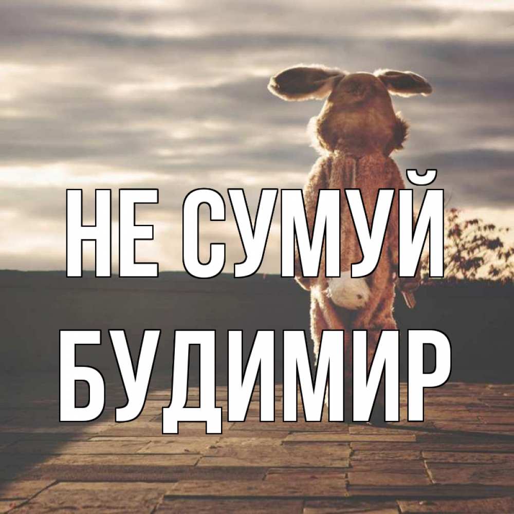 Открытка на каждый день з підписом, Будимир Не сумуй со спины Прикольна листівка з побажанням онлайн скачати безкоштовно 