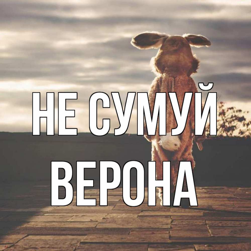 Открытка на каждый день з підписом, Верона Не сумуй со спины Прикольна листівка з побажанням онлайн скачати безкоштовно 