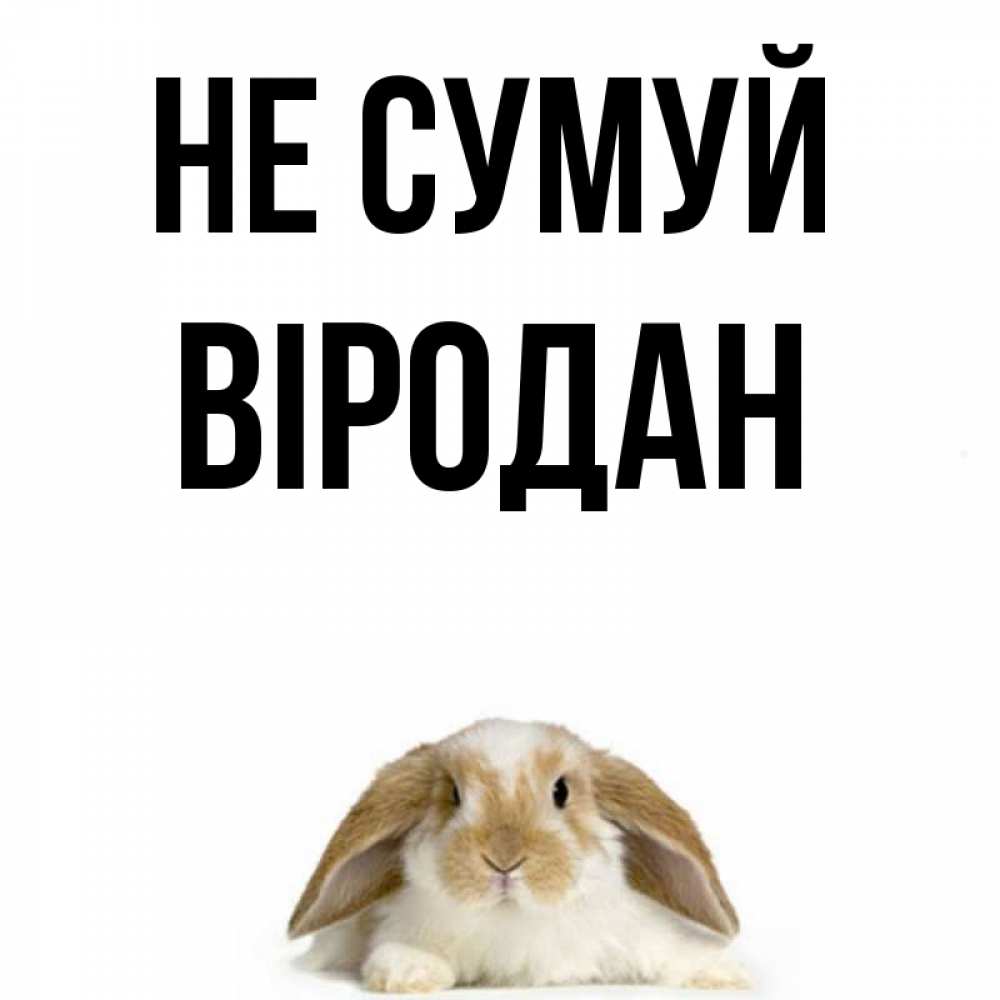 Открытка на каждый день з підписом, Віродан Не сумуй коричнево белый заяц с большими ушками Прикольна листівка з побажанням онлайн скачати безкоштовно 