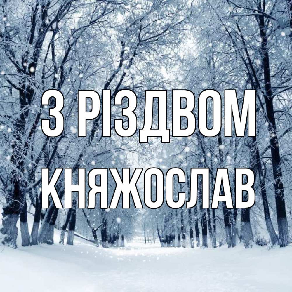 Открытка на каждый день з підписом, Княжослав З Різдвом снег, лес, парк Прикольна листівка з побажанням онлайн скачати безкоштовно 