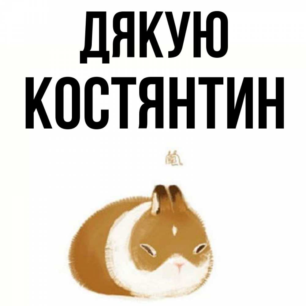 Открытка на каждый день з підписом, Костянтин Дякую коричнево белый домашний питомец Прикольна листівка з побажанням онлайн скачати безкоштовно 