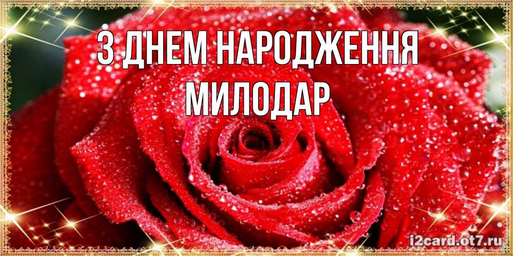 Открытка на каждый день з підписом, Милодар З Днем народження роса и роза. открытка с красивой розой Прикольна листівка з побажанням онлайн скачати безкоштовно 