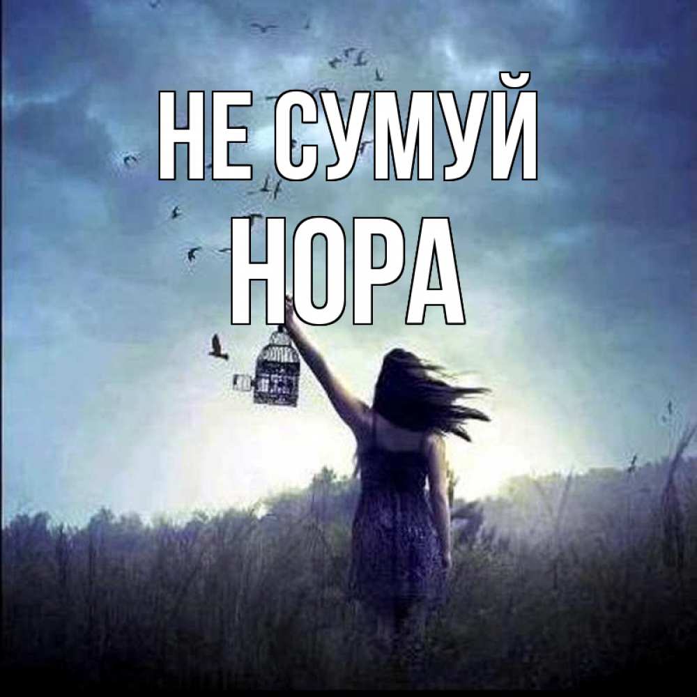Открытка на каждый день з підписом, Нора Не сумуй на волю Прикольна листівка з побажанням онлайн скачати безкоштовно 