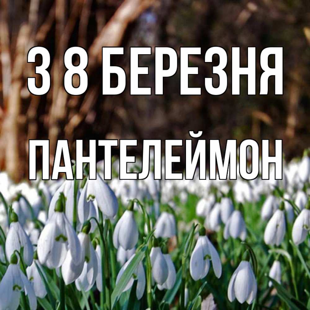 Открытка на каждый день з підписом, Пантелеймон З 8 БЕРЕЗНЯ с подснежниками 1 Прикольна листівка з побажанням онлайн скачати безкоштовно 