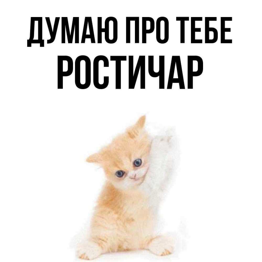 Открытка на каждый день з підписом, Ростичар Думаю про тебе зверушки и милота Прикольна листівка з побажанням онлайн скачати безкоштовно 
