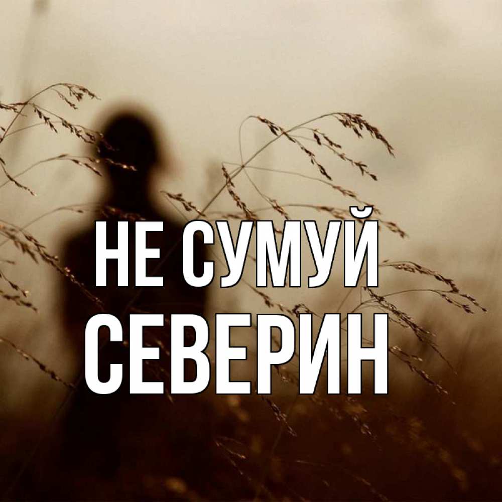 Открытка на каждый день з підписом, Северин Не сумуй грусть Прикольна листівка з побажанням онлайн скачати безкоштовно 
