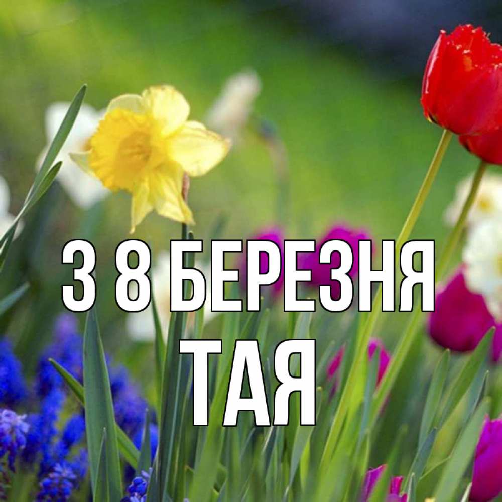 Открытка на каждый день з підписом, Тая З 8 БЕРЕЗНЯ международный женский день 3 Прикольна листівка з побажанням онлайн скачати безкоштовно 