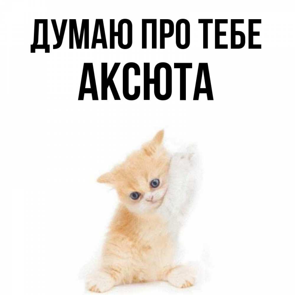 Открытка на каждый день з підписом, Аксюта Думаю про тебе зверушки и милота Прикольна листівка з побажанням онлайн скачати безкоштовно 