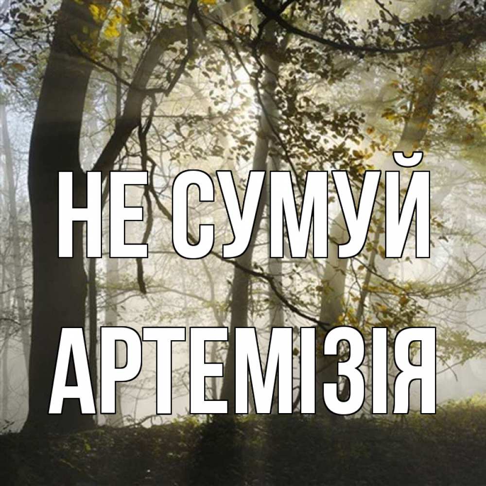 Открытка на каждый день з підписом, Артемізія Не сумуй лес и свет Прикольна листівка з побажанням онлайн скачати безкоштовно 