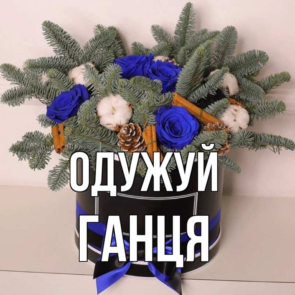 Открытка на каждый день з підписом, Ганця Одужуй короче кто то загрузил эти шишки Прикольна листівка з побажанням онлайн скачати безкоштовно 