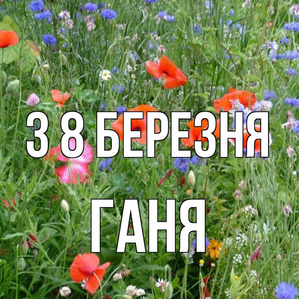 Открытка на каждый день з підписом, Ганя З 8 БЕРЕЗНЯ международный женский день 4 Прикольна листівка з побажанням онлайн скачати безкоштовно 