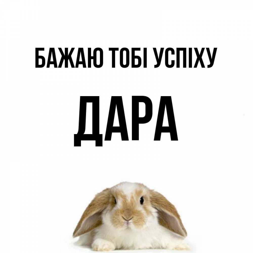 Открытка на каждый день з підписом, Дара Бажаю тобі успіху открытки с произвольным текстом который можно вставить в открытку и создать ее самостоятельно бесплатно онлайн Прикольна листівка з побажанням онлайн скачати безкоштовно 
