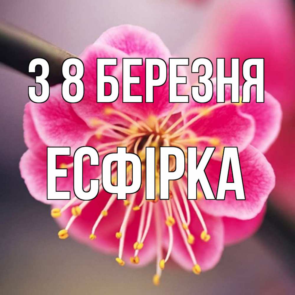Открытка на каждый день з підписом, Есфірка З 8 БЕРЕЗНЯ цветы Прикольна листівка з побажанням онлайн скачати безкоштовно 