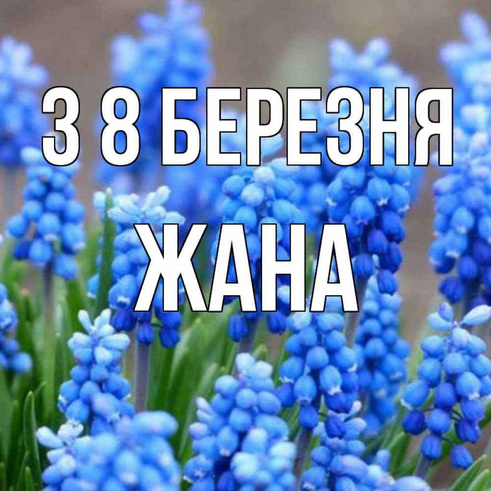 Открытка на каждый день з підписом, Жана З 8 БЕРЕЗНЯ Поздравительная открытка для женщин с цветами на праздничную дату Прикольна листівка з побажанням онлайн скачати безкоштовно 