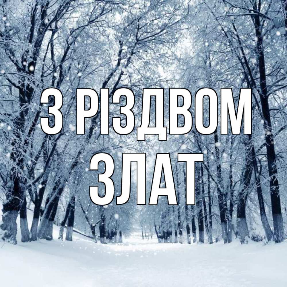 Открытка на каждый день з підписом, Злат З Різдвом снег, лес, парк Прикольна листівка з побажанням онлайн скачати безкоштовно 