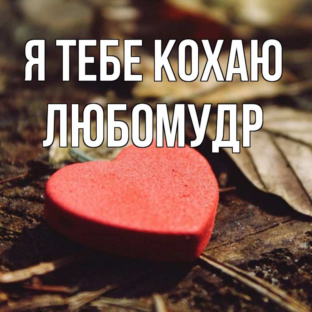 Открытка на каждый день з підписом, Любомудр Я тебе кохаю листья деревье 4 Прикольна листівка з побажанням онлайн скачати безкоштовно 