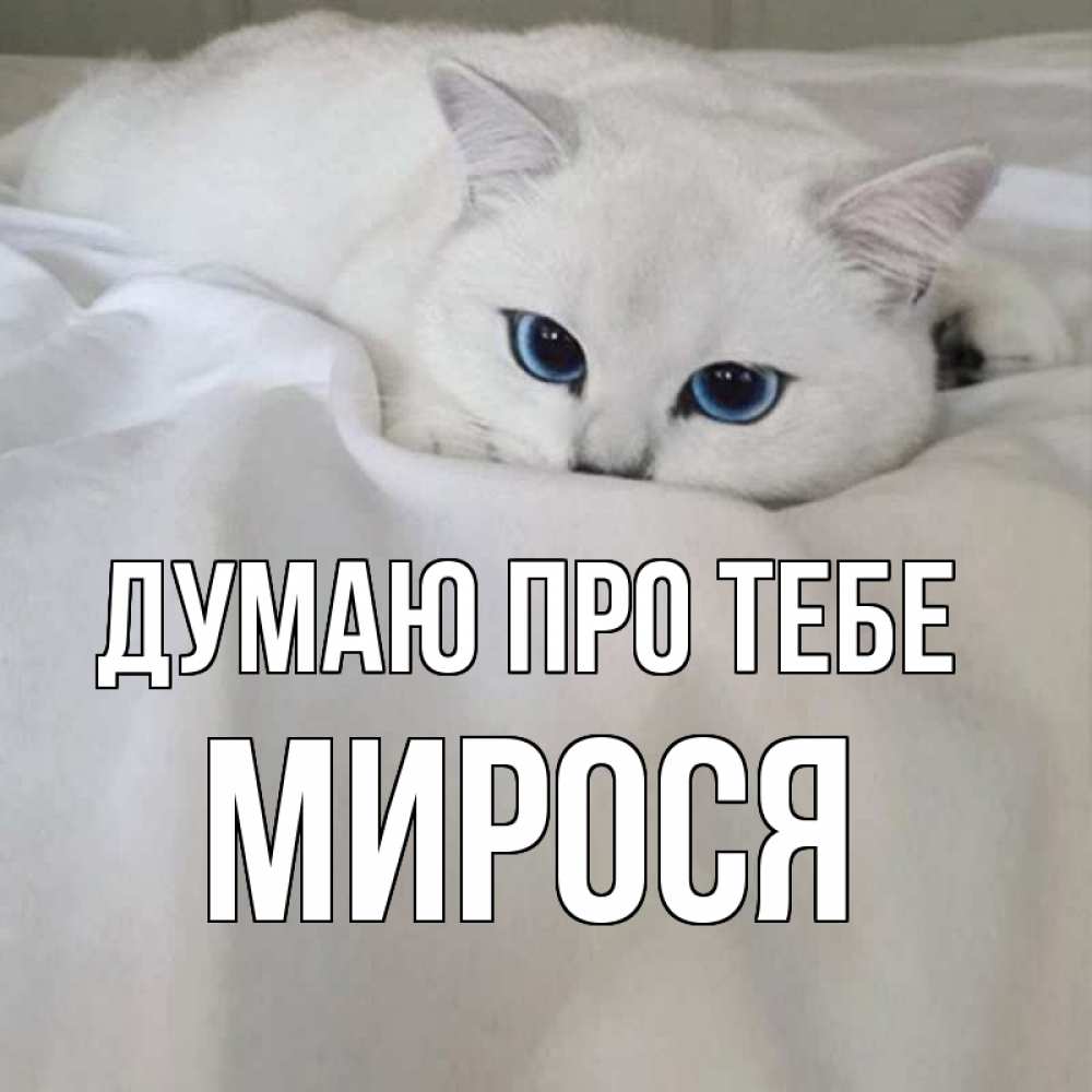 Открытка на каждый день з підписом, Мирося Думаю про тебе я очень по тебе скучаю и тоскую Прикольна листівка з побажанням онлайн скачати безкоштовно 