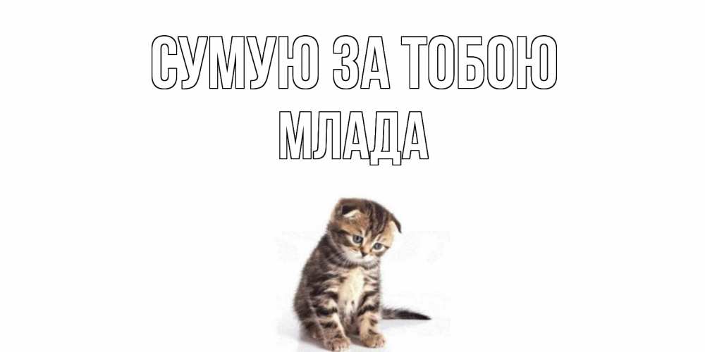 Открытка на каждый день з підписом, Млада Сумую за тобою кот Прикольна листівка з побажанням онлайн скачати безкоштовно 