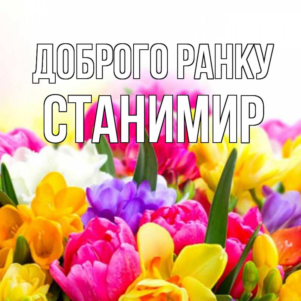 Открытка на каждый день з підписом, Станимир Доброго ранку создать открытку со свое подписью Прикольна листівка з побажанням онлайн скачати безкоштовно 