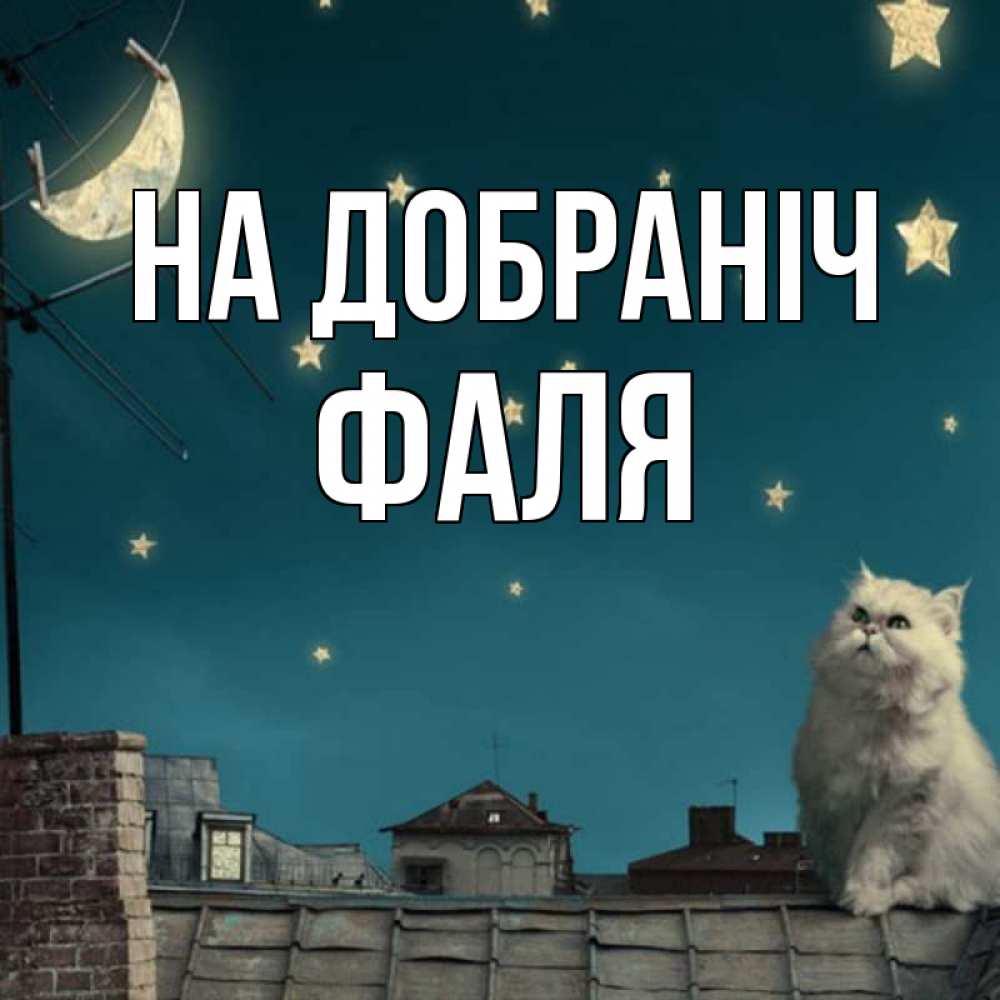 Открытка на каждый день з підписом, Фаля На добраніч белый кот сидит на крыше Прикольна листівка з побажанням онлайн скачати безкоштовно 