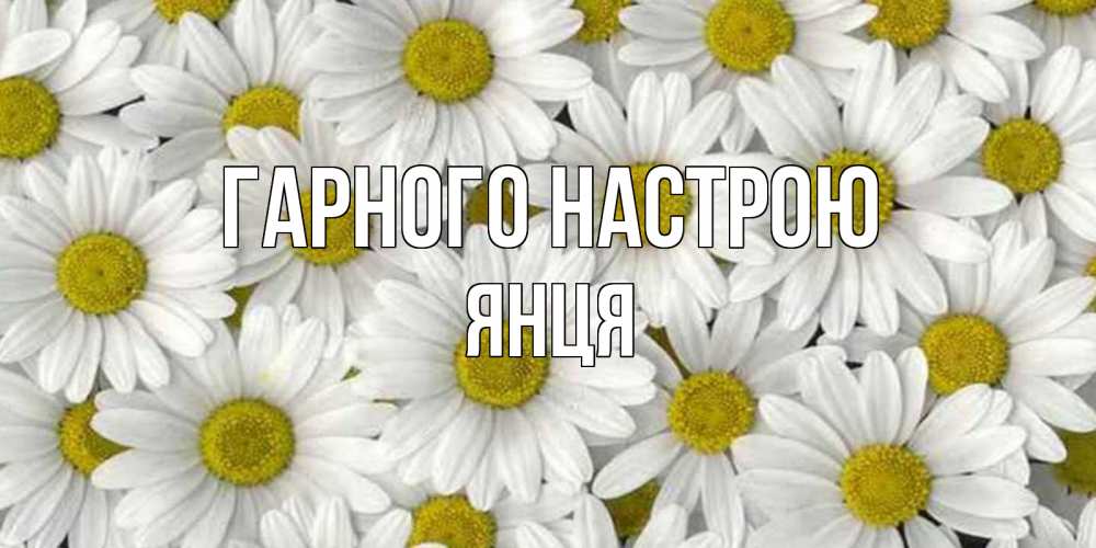 Открытка на каждый день з підписом, Янця Гарного настрою поляна ромашек Прикольна листівка з побажанням онлайн скачати безкоштовно 