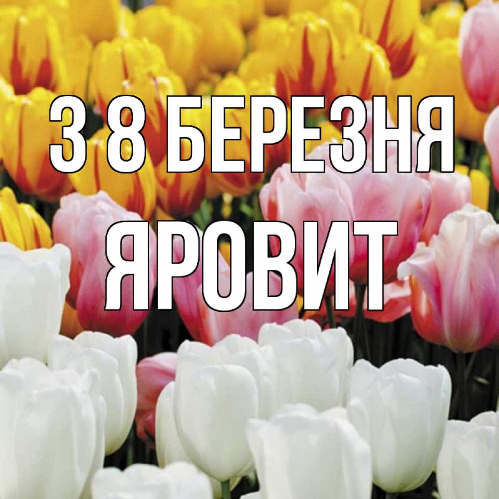 Открытка на каждый день з підписом, Яровит З 8 БЕРЕЗНЯ разноцветные цветы Прикольна листівка з побажанням онлайн скачати безкоштовно 