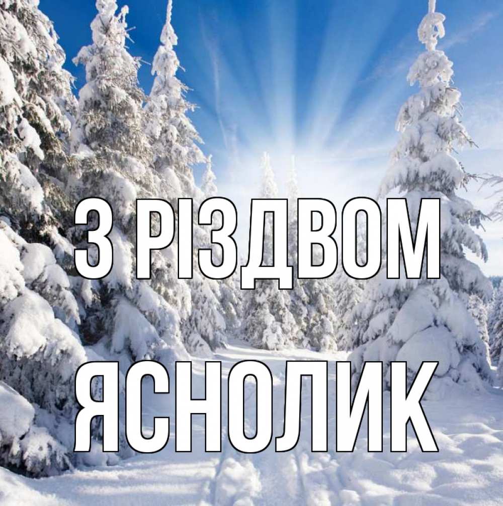 Открытка на каждый день з підписом, Яснолик З Різдвом зима, лес Прикольна листівка з побажанням онлайн скачати безкоштовно 