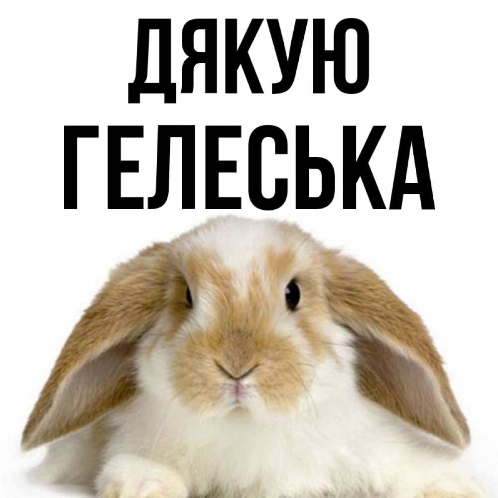Открытка на каждый день з підписом, Гелеська Дякую коричнево белый заяц Прикольна листівка з побажанням онлайн скачати безкоштовно 