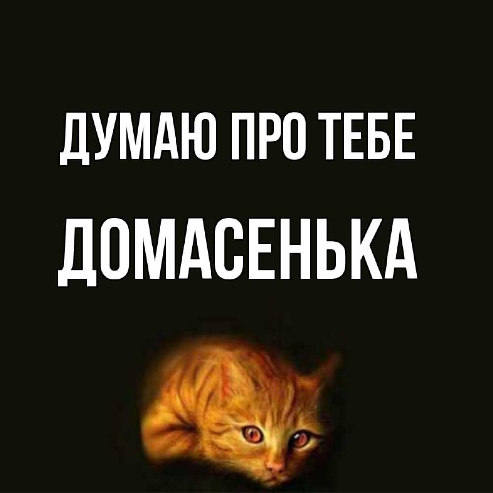 Открытка на каждый день з підписом, Домасенька Думаю про тебе рыжий Прикольна листівка з побажанням онлайн скачати безкоштовно 