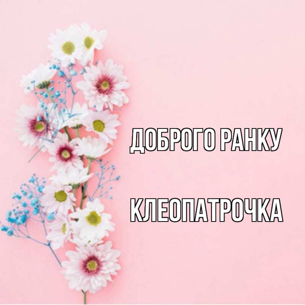 Открытка на каждый день з підписом, Клеопатрочка Доброго ранку цветы с подписью Прикольна листівка з побажанням онлайн скачати безкоштовно 