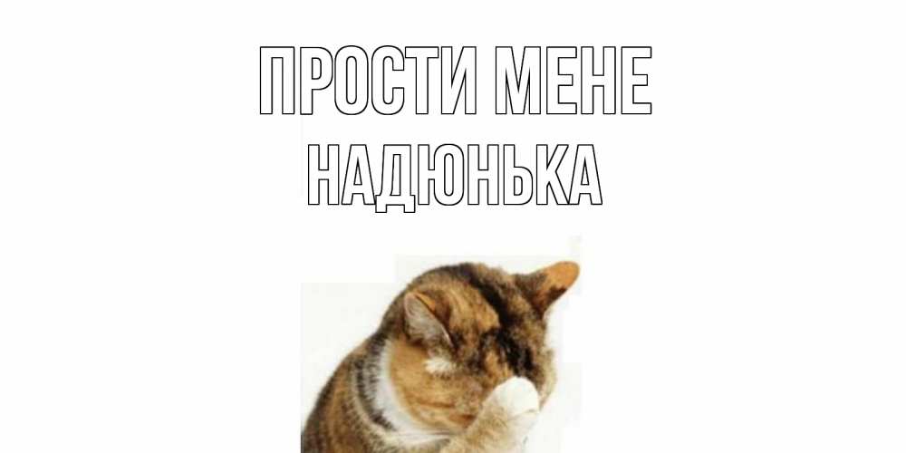 Открытка на каждый день з підписом, Надюнька Прости мене кот Прикольна листівка з побажанням онлайн скачати безкоштовно 