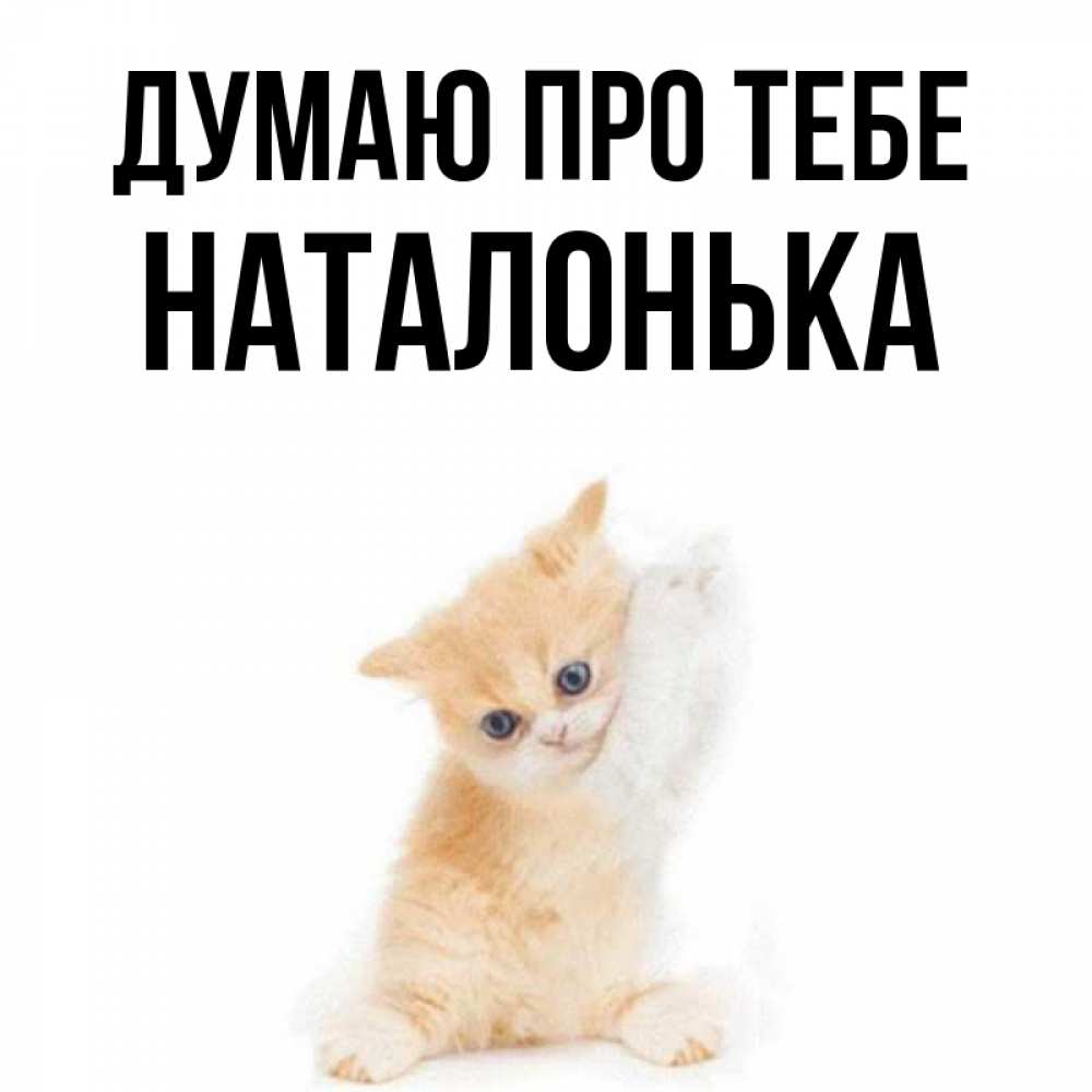 Открытка на каждый день з підписом, Наталонька Думаю про тебе зверушки и милота Прикольна листівка з побажанням онлайн скачати безкоштовно 