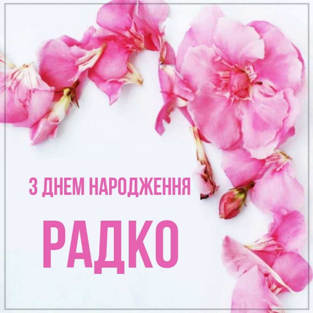 Открытка на каждый день з підписом, Радко З Днем народження Красивая открытка для поздравления с днем рождения Прикольна листівка з побажанням онлайн скачати безкоштовно 