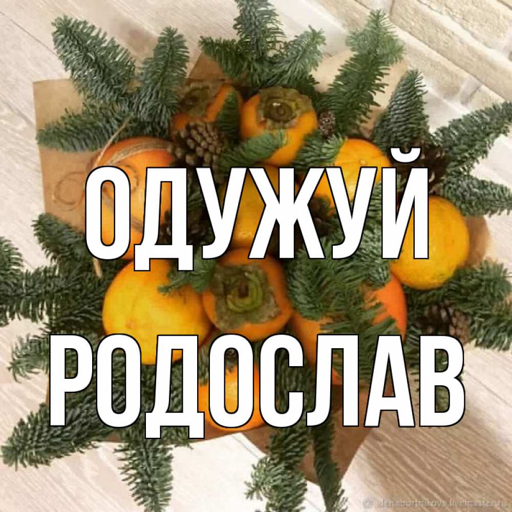 Открытка на каждый день з підписом, Родослав Одужуй апельсины и хурьма Прикольна листівка з побажанням онлайн скачати безкоштовно 