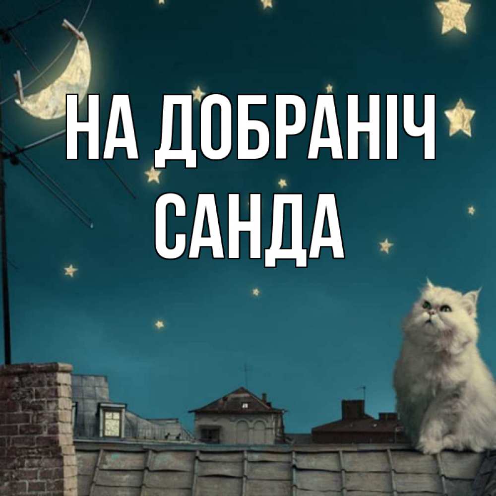 Открытка на каждый день з підписом, Санда На добраніч белый кот сидит на крыше Прикольна листівка з побажанням онлайн скачати безкоштовно 