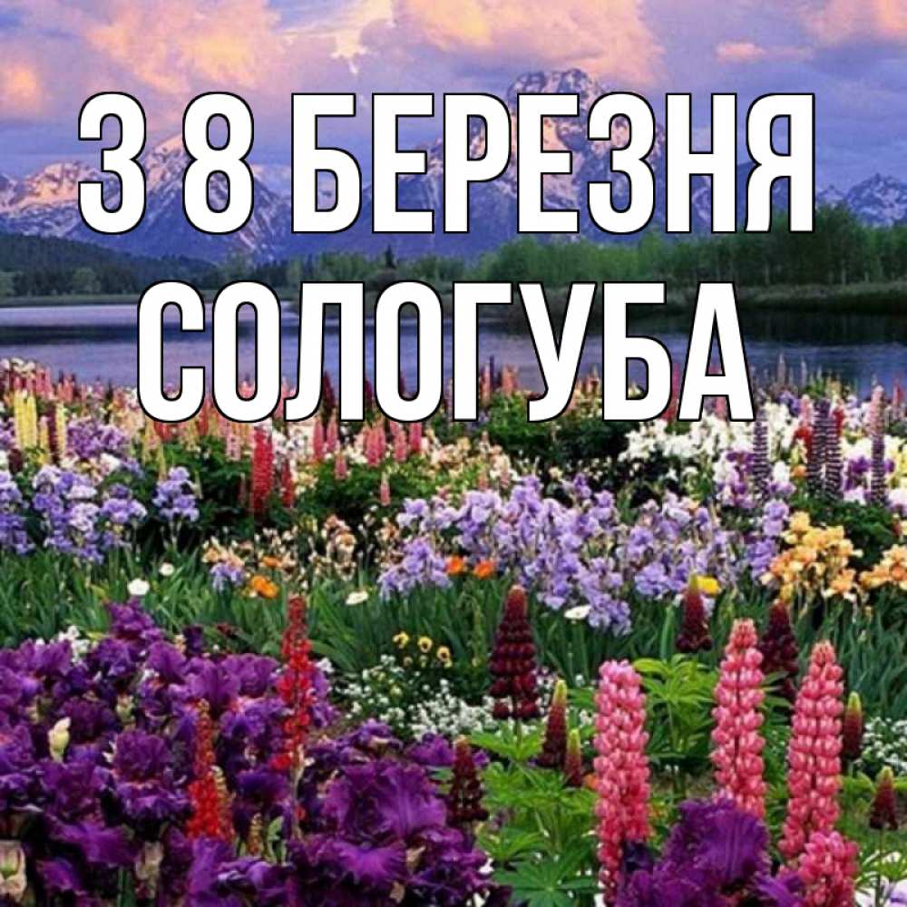 Открытка на каждый день з підписом, Сологуба З 8 БЕРЕЗНЯ международный женский день Прикольна листівка з побажанням онлайн скачати безкоштовно 