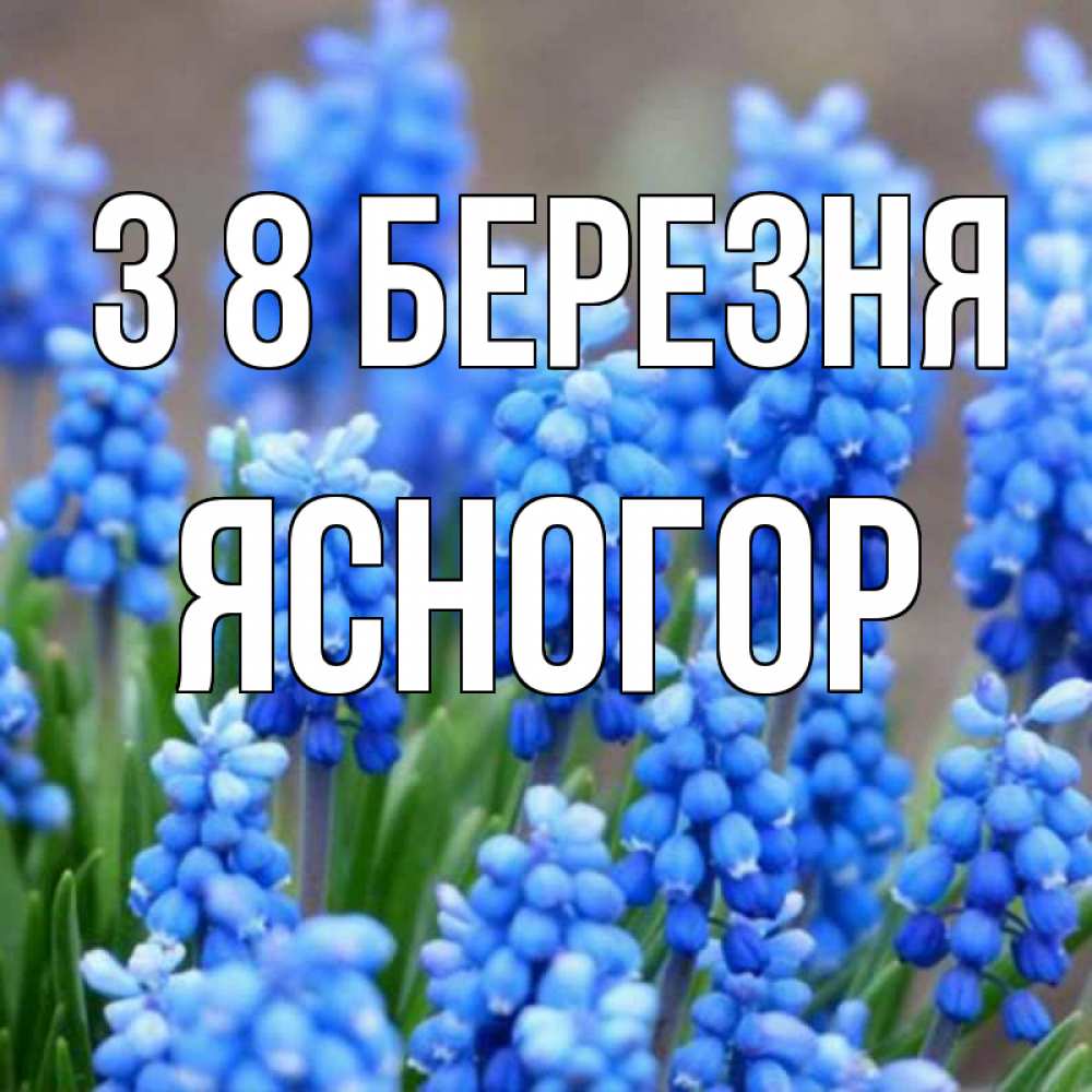 Открытка на каждый день з підписом, Ясногор З 8 БЕРЕЗНЯ Поздравительная открытка для женщин с цветами на праздничную дату Прикольна листівка з побажанням онлайн скачати безкоштовно 