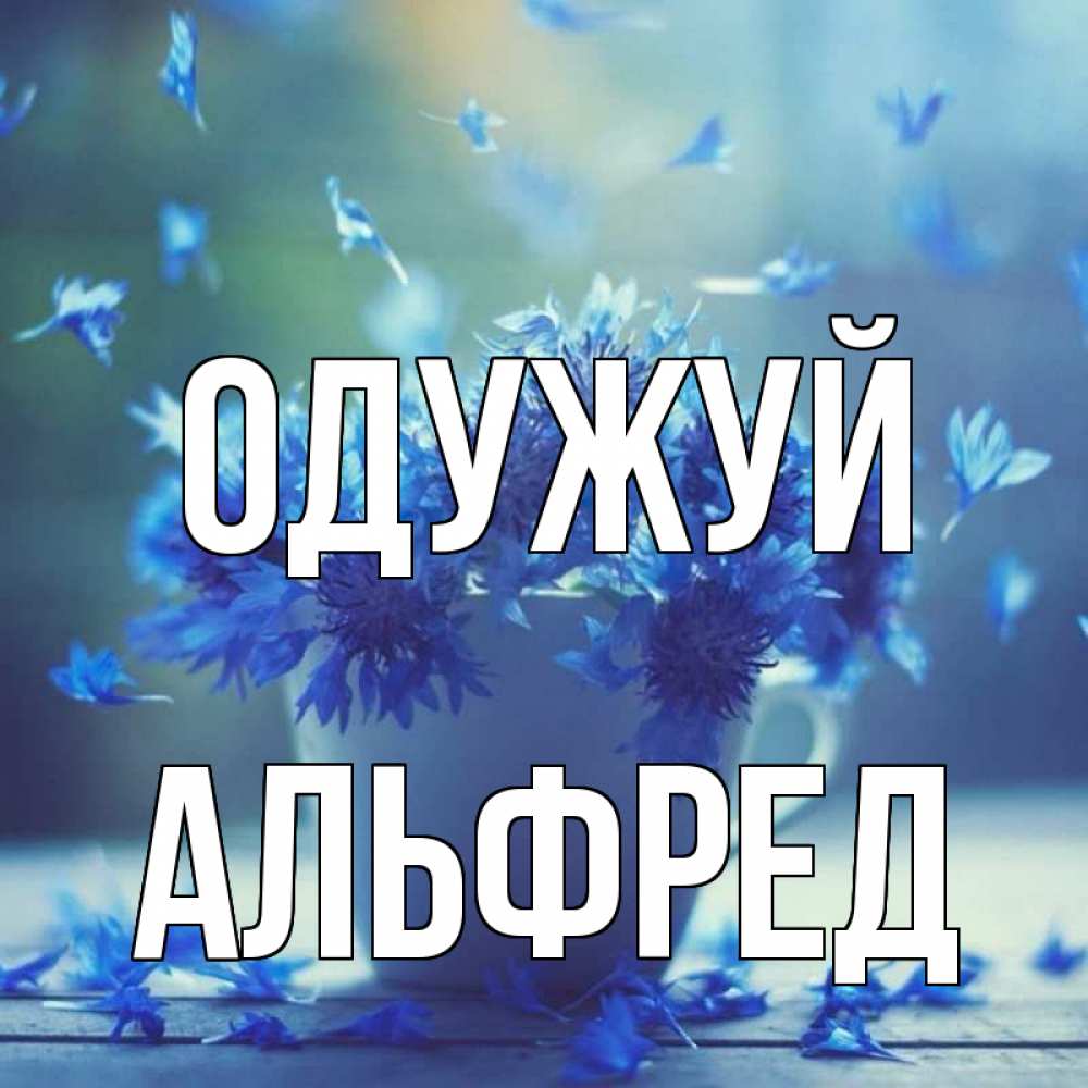 Открытка на каждый день з підписом, Альфред Одужуй кружка с зельем и цветами Прикольна листівка з побажанням онлайн скачати безкоштовно 