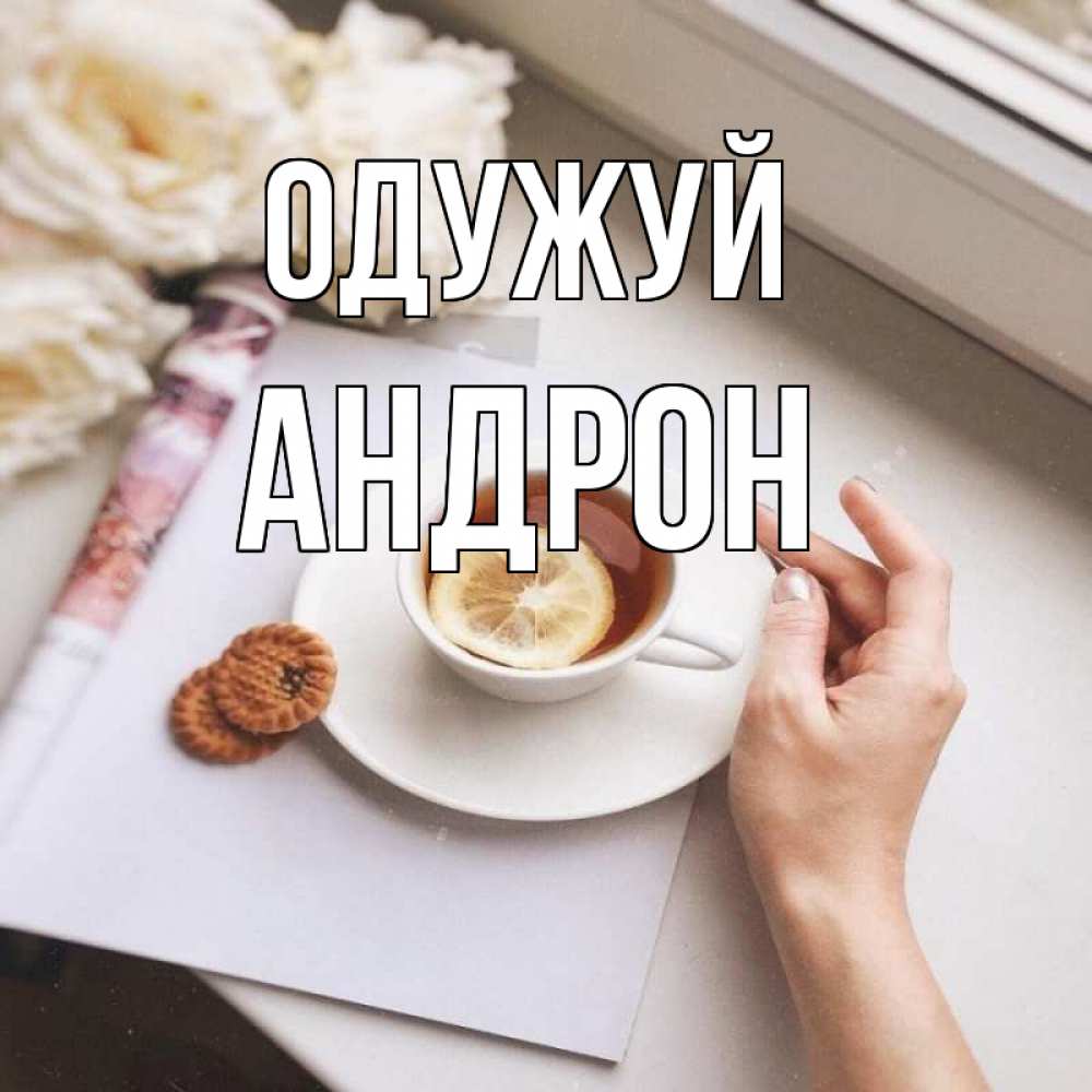 Открытка на каждый день з підписом, Андрон Одужуй и печеньками Прикольна листівка з побажанням онлайн скачати безкоштовно 