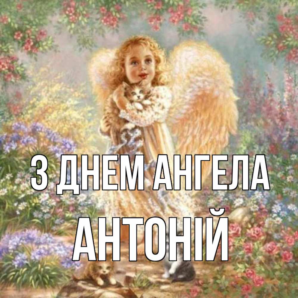 Открытка на каждый день з підписом, Антоній З Днем ангела держит котенка Прикольна листівка з побажанням онлайн скачати безкоштовно 