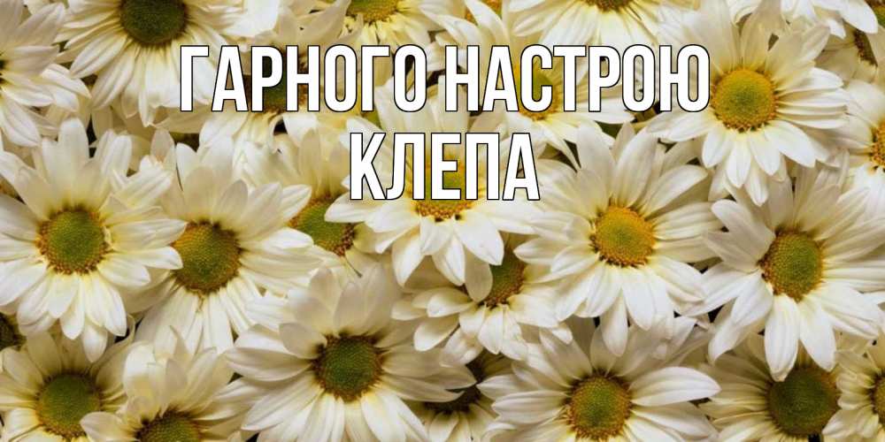 Открытка на каждый день з підписом, Клепа Гарного настрою крупные ромашки Прикольна листівка з побажанням онлайн скачати безкоштовно 