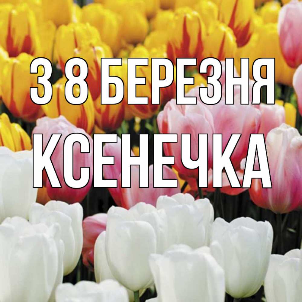 Открытка на каждый день з підписом, Ксенечка З 8 БЕРЕЗНЯ разноцветные цветы Прикольна листівка з побажанням онлайн скачати безкоштовно 