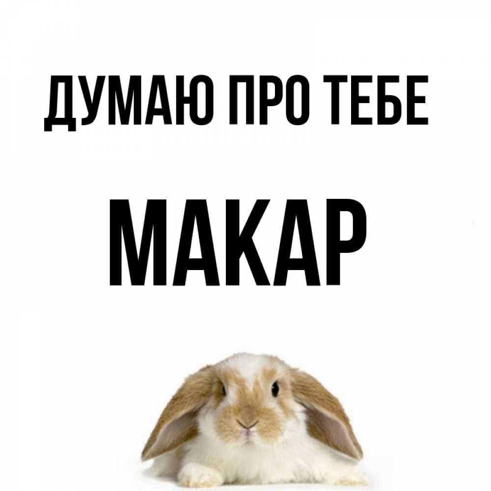 Открытка на каждый день з підписом, Макар Думаю про тебе подписать своими руками онлайн Прикольна листівка з побажанням онлайн скачати безкоштовно 