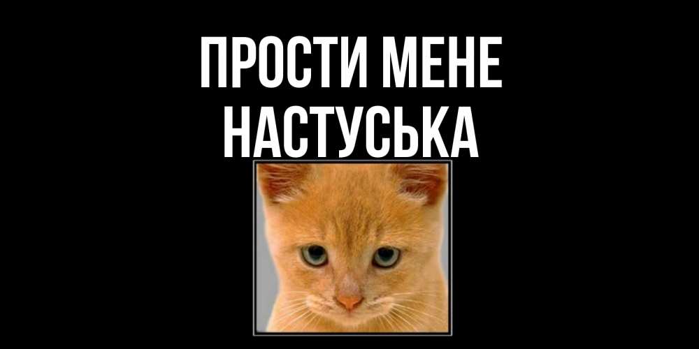 Открытка на каждый день з підписом, Настуська Прости мене рыжий грустный кот просит прощения Прикольна листівка з побажанням онлайн скачати безкоштовно 