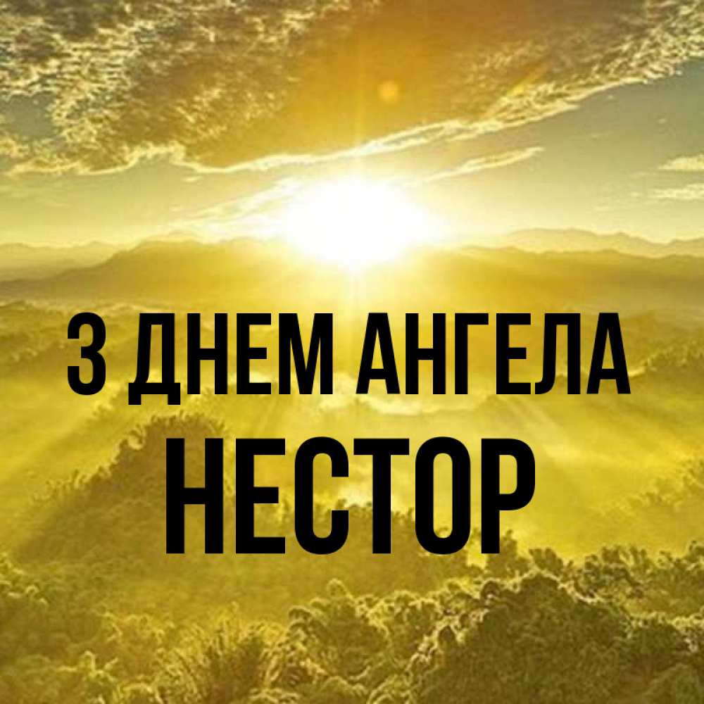 Открытка на каждый день з підписом, Нестор З Днем ангела леса и небо в желтом Прикольна листівка з побажанням онлайн скачати безкоштовно 
