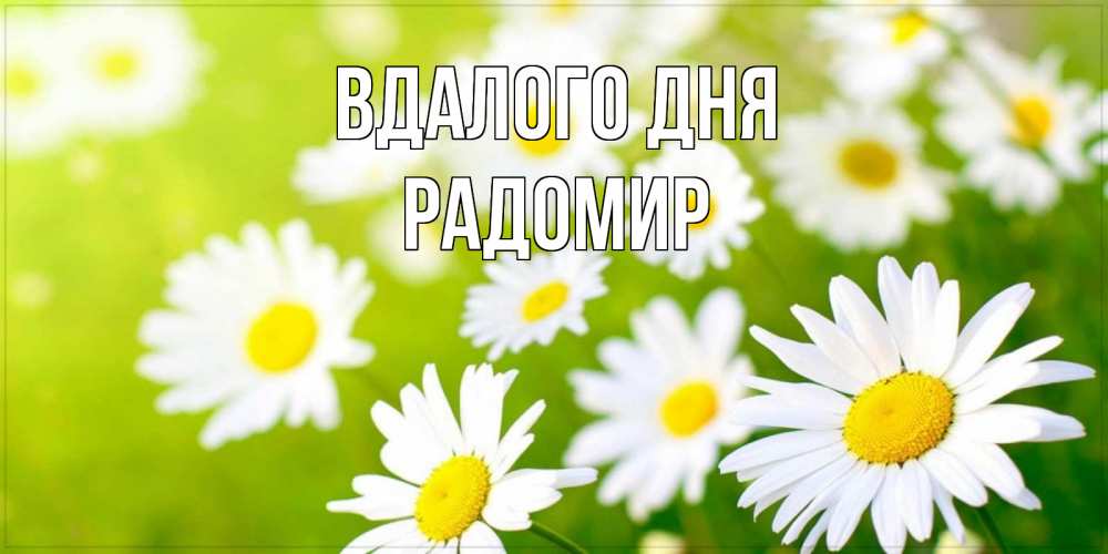 Открытка на каждый день з підписом, Радомир Вдалого дня открытка с ромашками на зеленом фоне Прикольна листівка з побажанням онлайн скачати безкоштовно 