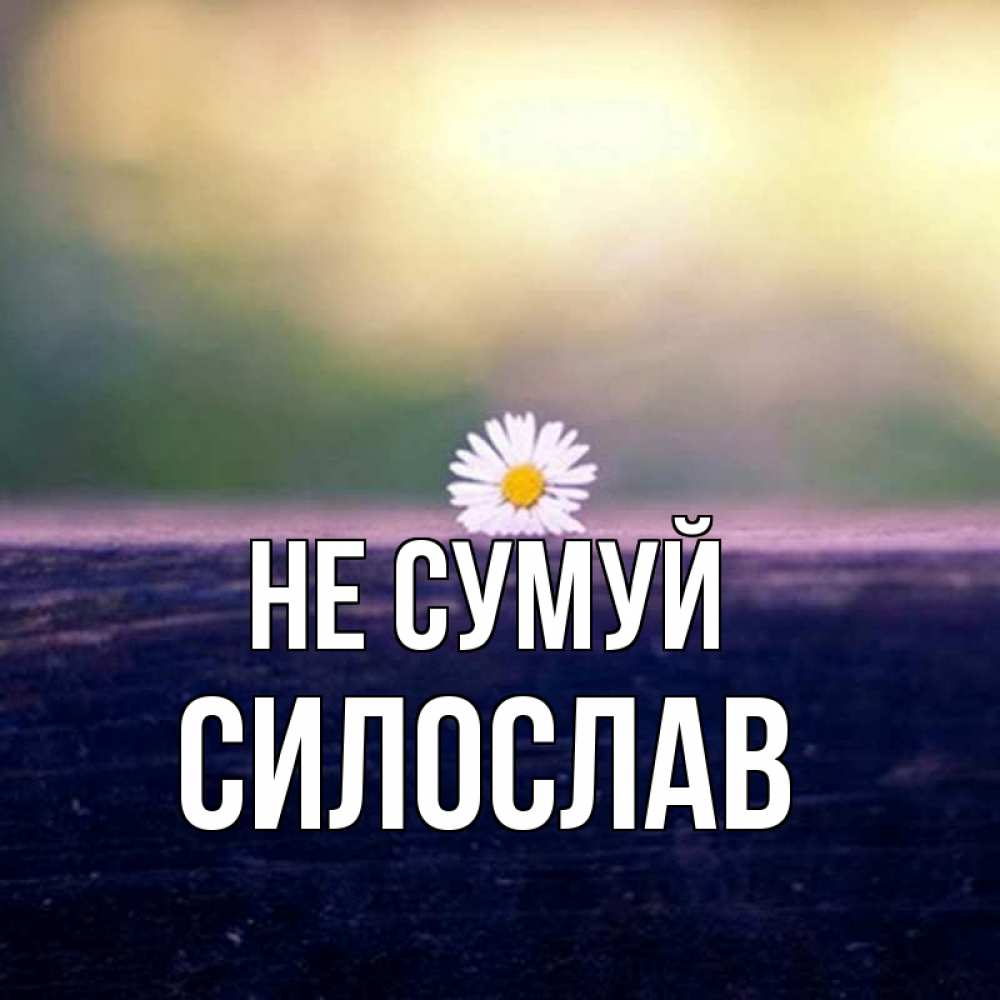 Открытка на каждый день з підписом, Силослав Не сумуй красота Прикольна листівка з побажанням онлайн скачати безкоштовно 